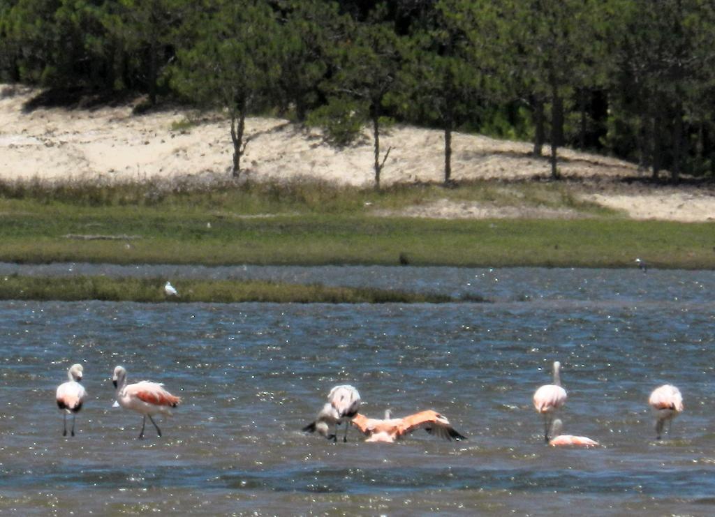 Aldeia Santuario Das Aves Tavares Exteriér fotografie