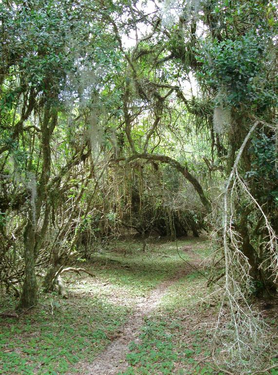 Aldeia Santuario Das Aves Tavares Exteriér fotografie