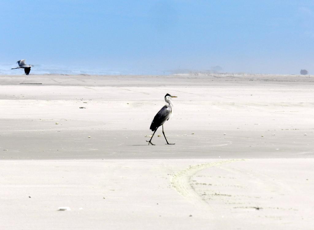 Aldeia Santuario Das Aves Tavares Exteriér fotografie