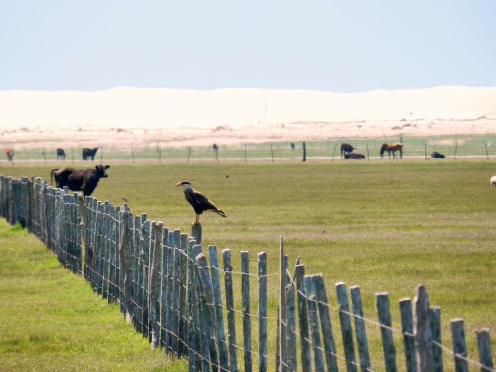 Aldeia Santuario Das Aves Tavares Exteriér fotografie