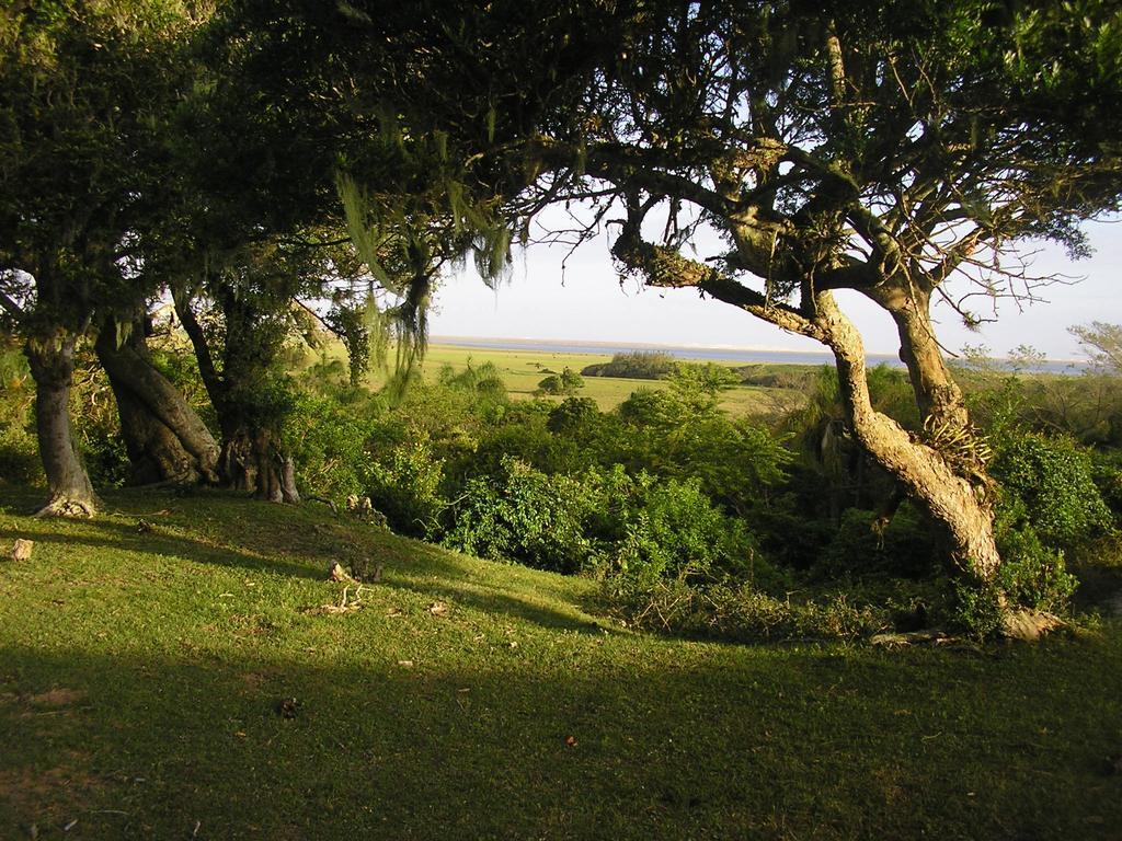 Aldeia Santuario Das Aves Tavares Exteriér fotografie